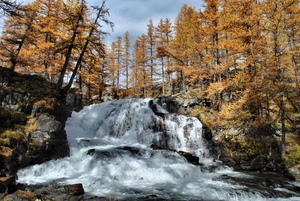 alberi, cascata, acqua, rocce, fiume, autunno, torrente, larici, bosco